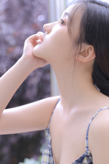 疯狂的蠢贼